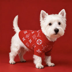 2026 Year of the Horse New Pet Clothes Autumn and Winter Clothing Cat Sweater Teddy Chinese Red New Year Puppy Clothes