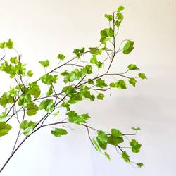 New Grape Leaves with Realistic Texture, Artificial Fake Leaves, Grape Vine, Tree Construction, Green Landscape, Green Plant Ornaments, High-End Accessories