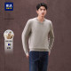 HLA/Heilan House light business casual V-neck sweater 24 autumn and winter new pure wool warm sweater for men