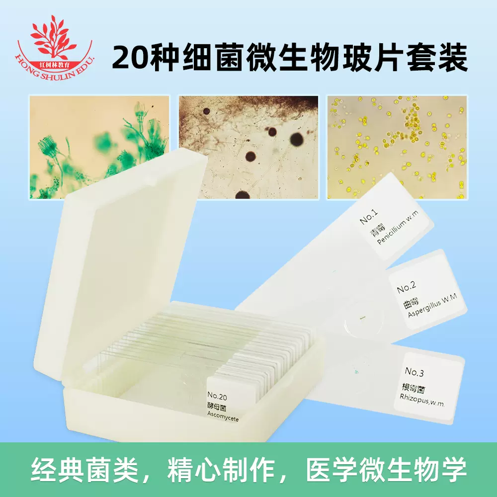 20種細菌真菌微生物標本切片套裝革蘭氏染色醫學微生物學顯微玻片-Taobao