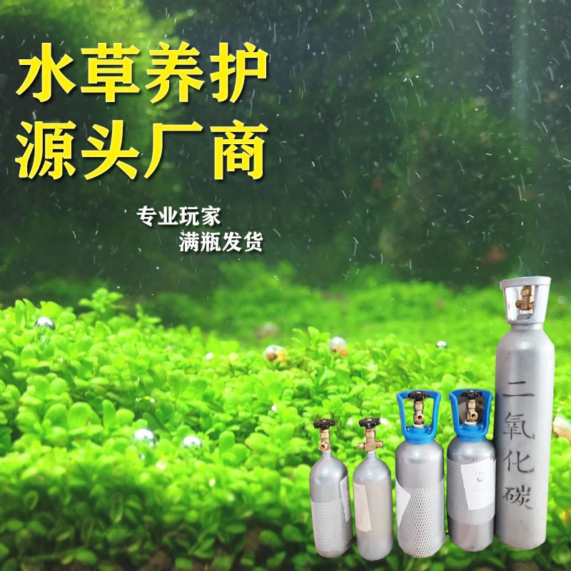 二氧化碳钢瓶套装养水草可食用99 99纯度co2小钢瓶草缸配件4