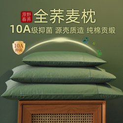 Buckwheat Pillow for Adults, Pure Cotton Breathable Buckwheat Skin Pillow Core, Cervical Pillow, Removable and Washable