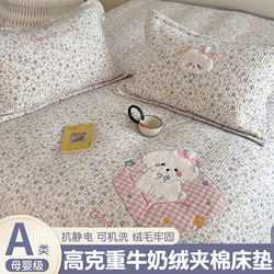 Children's Winter Thickened Milk Velvet Towel Embroidered Mattress Cover, Single Coral Soft Mattress Pad for Student Dormitory