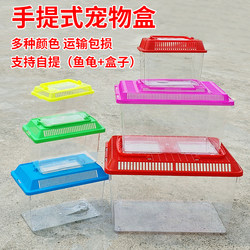 Small and Medium-Sized Pet Breeding Box, Transparent Portable Reptile Breeding Tank, Turtle Box, Plastic Fish Tank, Fish Box with Lid, Turtle Tank