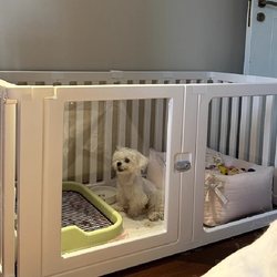 Pet Fence, Dog Cage, Medium-Sized and Small-Sized Dogs, One Bedroom, One Living Room, One Bathroom, Luxury Villa Dog House, Indoor Fence