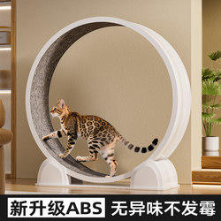 Cat Treadmill Roller Exercise Fitness Silent Cat Climbing Frame for Home Use in Small Apartments, Does Not Take up Much Space, Indoor Running Wheel for Large Cats
