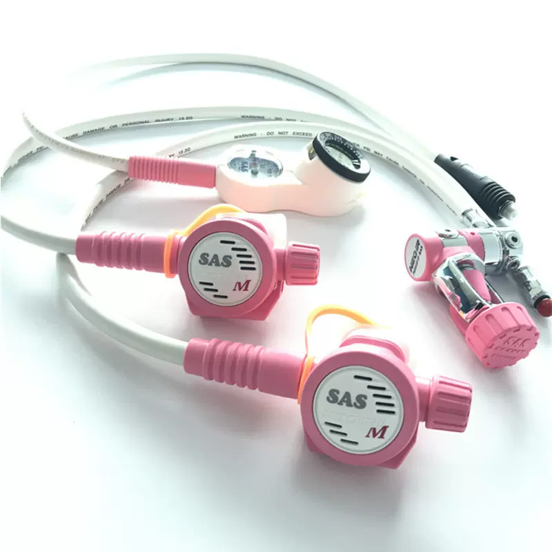 レギュレーター SAS NEO RⅡ（SAS Neo-R II M潜水调节器套装年度维护与 