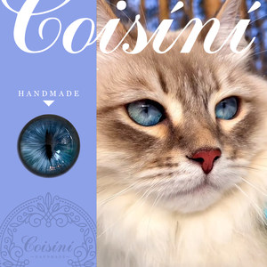 Original DIY handmade doll accessories wool felt poke music simulation animal glass eyes Russian long hair cat

