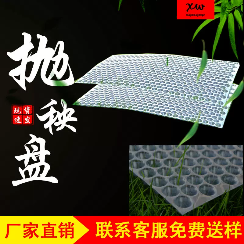 热销手抛育秧盘水稻人工抛秧盘水稻育苗盘塑料透明加厚营养钵软盘