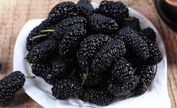 这几种水果干颜值高，味道美，女人的最爱(图3)