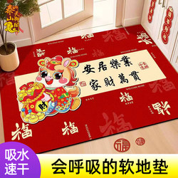 Diatom Mud Floor Mat, Entrance Door Mat, Bathroom Mat, Thickened, Non-Slip, Water-Absorbent, No-Wash, 2026 New Model Carpet