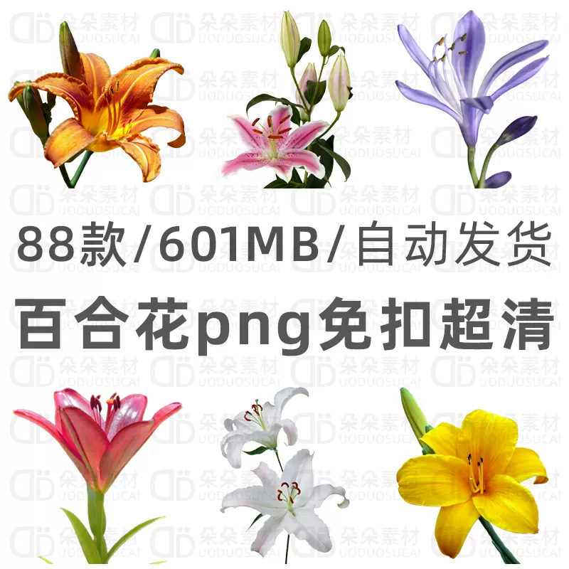 百合花免扣png超高清ps素材透明背景花卉CG手绘场景原画插画参照-Taobao