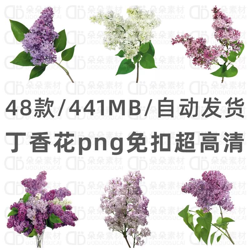 丁香花免扣png超高清ps素材白紫色丁香透明背景花卉插画