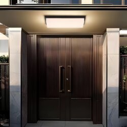 Outdoor rectangular entrance door ceiling courtyard wall light