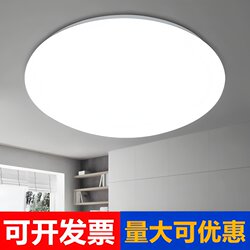 Led Round Ceiling Light 18W24W30W36W48W Diameter 40Cm50Cm Living Room Bedroom Balcony All White Lighting Fixtures