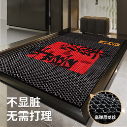 Entrance Door Mat 2025 New Model High-End Doormat Villa Dirt-Scraping Mat Household Doorway Dirt-Resistant No-Wash Mat