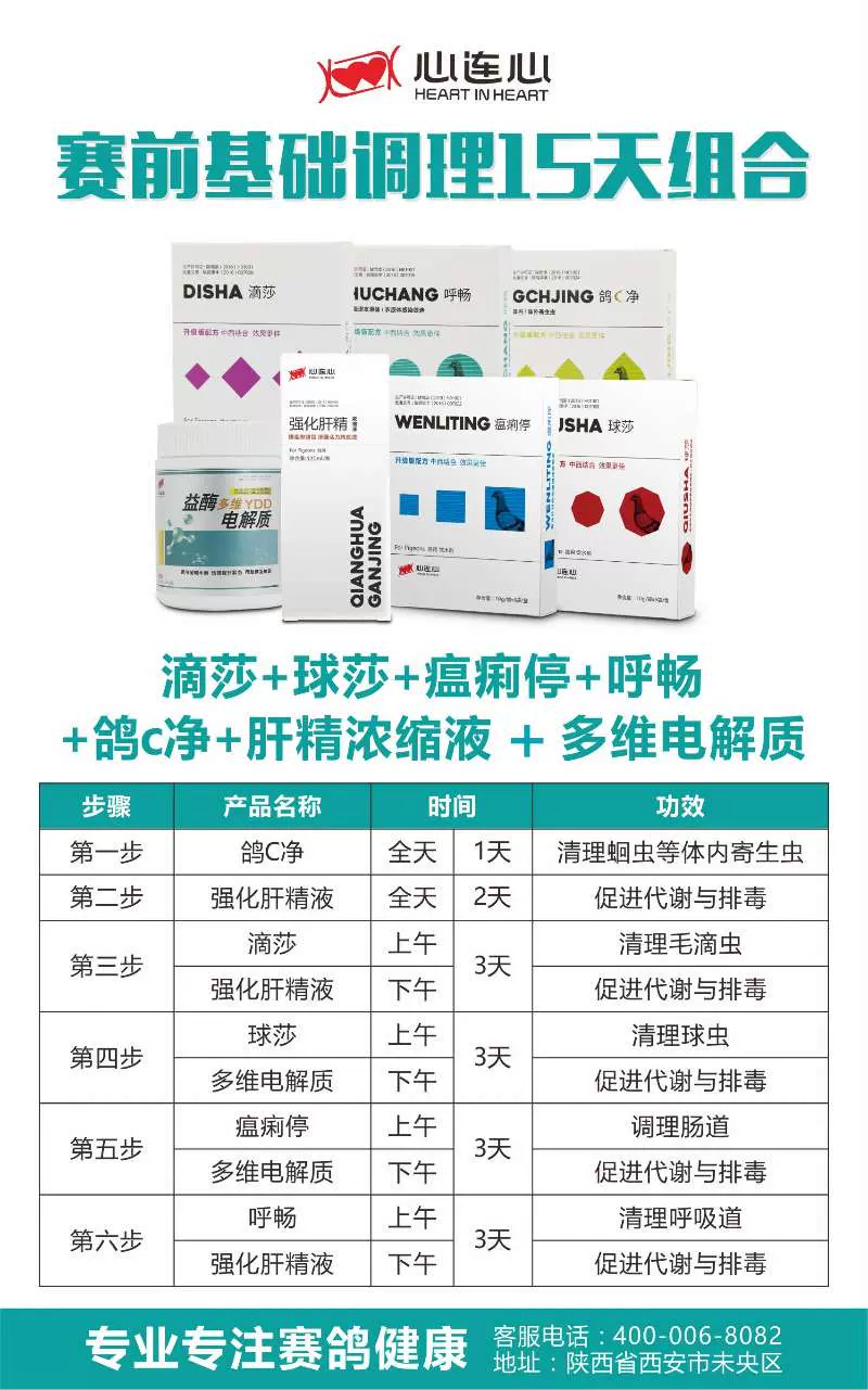 心连心鸽药赛前种鸽调理套装赛鸽体能组合赛后恢复比赛7件套整理