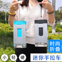 Stainless Steel Mini Shopping Cart, Foldable Portable Handcart, Household Small Trailer, Luggage Cart