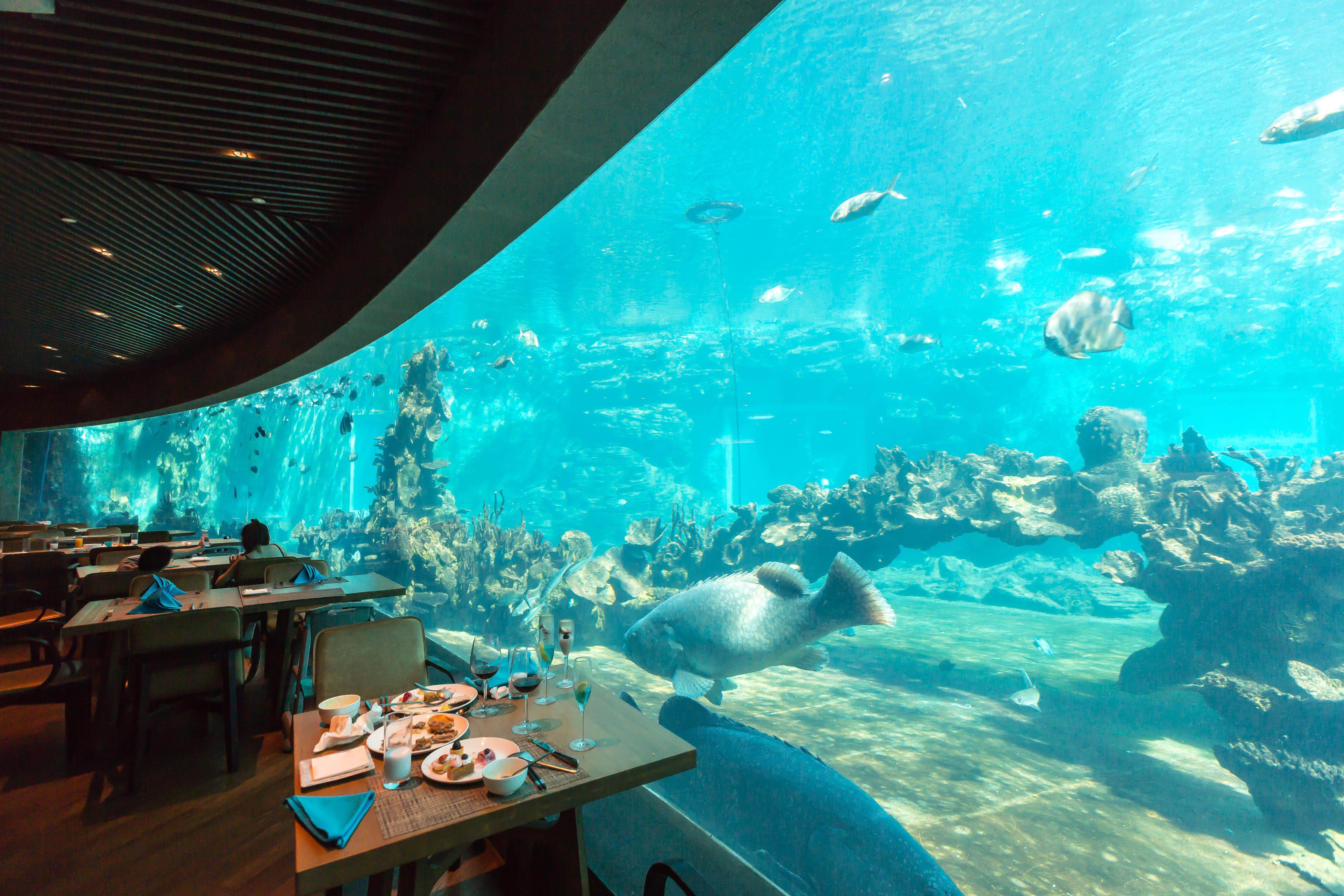 在海底品尝美食三亚海棠湾天房洲际度假酒店海天一色餐厅来到洲际