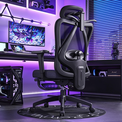 【New Product】W09 Ergonomic Chair with Lumbar Support, Gaming Chair, Comfortable for Long Sitting, Computer Chair, Office Chair
