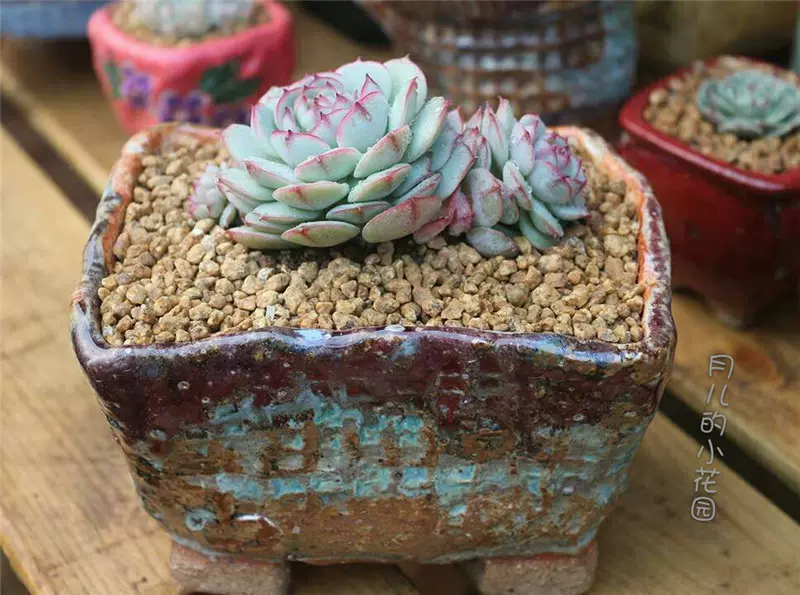 景德镇多肉花器大口径长方形老桩盆渐变色手捏粗陶陶瓷