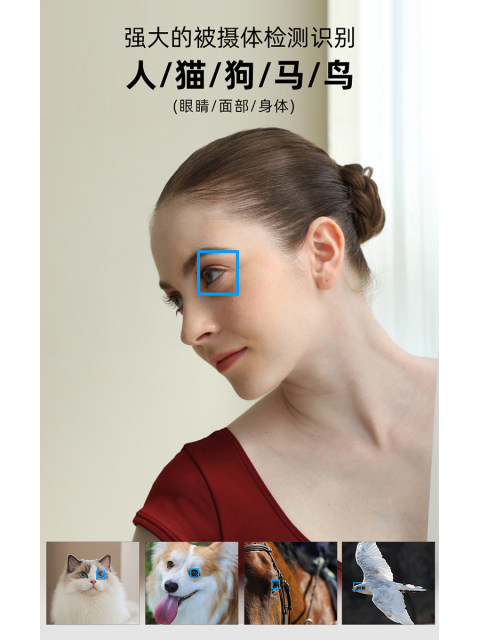 National Canon EOS R6 Mark II full-frame mirrorless camera R62 second ...