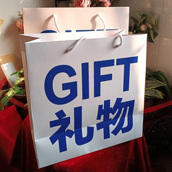 Gift Gift Bag Ins Style Simple Portable Blue and White Packaging Paper Bag Portable Tote Bag Clothing Shopping Bag