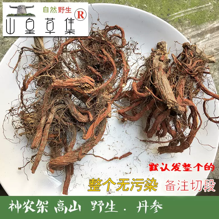 新品】 丹参補紅巡 - 食品