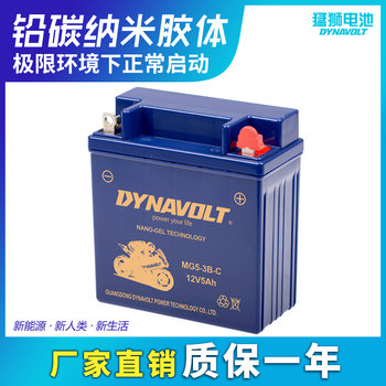 Xindazhou Honda Mighty WAVE110T Lion Battery