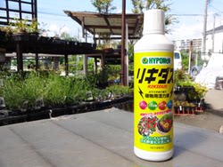 Huabao Plant Vitality Liquid Plant Activity Vegetables and Flowers Foliage Preventing Black Rot Rooting and Promoting Roots Made in Japan