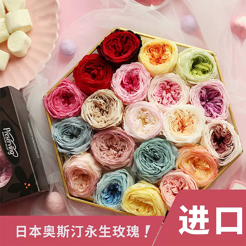 薔薇永生花diy材料包奧斯汀玫瑰花日本大地農園玻璃罩新娘頭飾