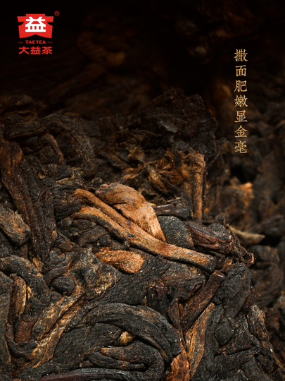 大益普洱茶 – 天地人熟茶ケーキ 357g