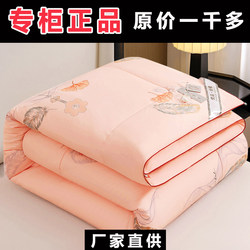 Authentic Mulberry Silk Cotton Quilt, Spring and Autumn Quilt Core, Air Conditioning Quilt, Summer Quilt, Double Lightweight Style, Autumn and Winter Style, All-Season Quilt