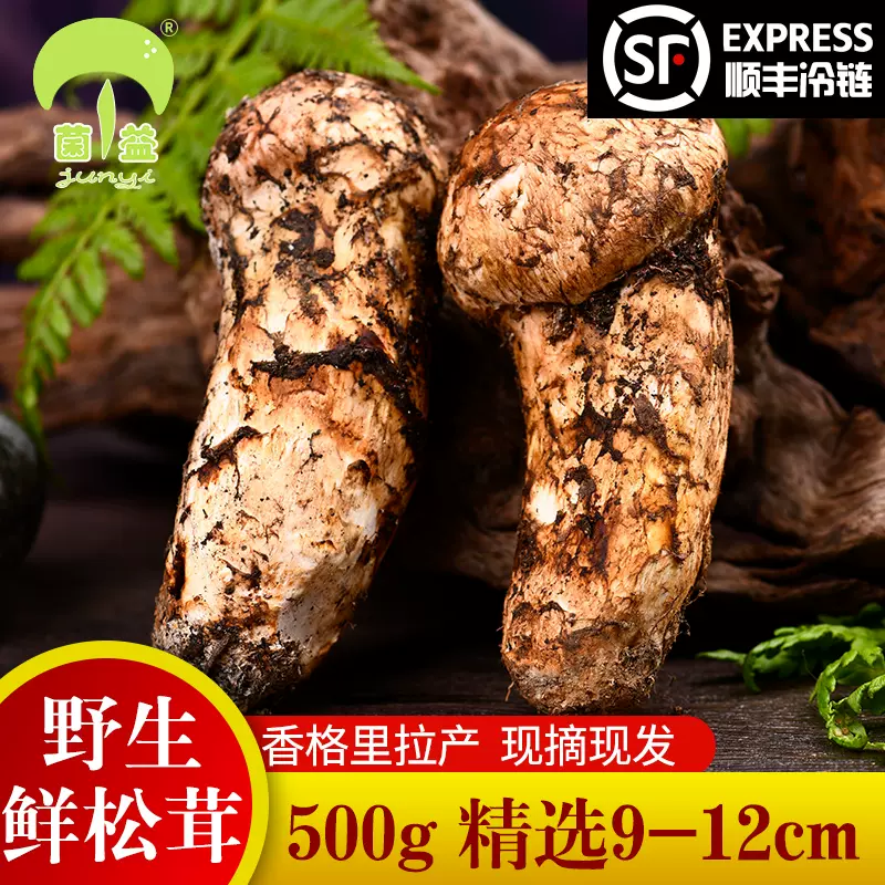 【限定品得価】三陸産 開き松茸 1.1kg キズあり 野菜