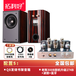Spot Promozionale Shenzhen Febbrile Tubo Elettronico Bile Macchina Classe A Amplificatore Di Potenza Pura Produzione Single-ended 300b