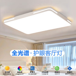 Ultra-Thin Led Modern Minimalist Atmospheric Living Room Lamp Room Bedroom Rectangular Hall Package Restaurant Ceiling Lamp
