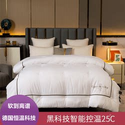 Temperature-Controlled Feather Velvet Quilt, Thickened Winter Quilt, Warm Spring and Autumn Nine-Hole Quilt Core, Space Silk Cotton Quilt, Suitable for All Seasons 5kg