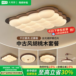 Living Room Ceiling Light 2026 Main Hall Light Vintage High-Brightness Walnut Eye-Protection Bubble Bedroom Whole House Package 357Z