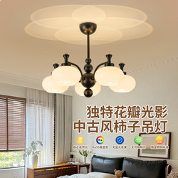 Persimmon Lamp Black Modern Chinese Style Bedroom Chandelier French Retro High-End Led Eye-Protection Study Room Lamp Kc