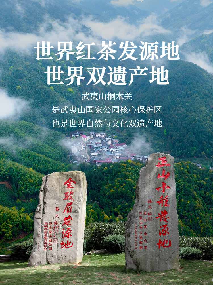 正山小種 紅茶 - 鄭山堂 武夷山 - 30g 缶入りギフト