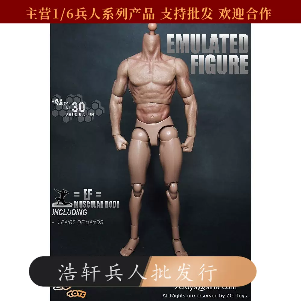 现货zctoys 1:6兵人肌肉素体12寸肌肉素体类似HT TTM19适合男头雕-Taobao