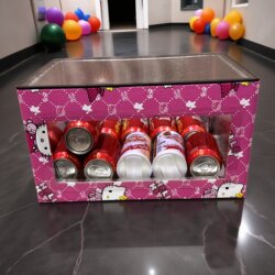 Insulated Box for Commercial Use, Transparent for Sandwiches, Cakes, Yogurt, Sushi, Visible Foam Box with Transparent Lid, Dessert Refrigeration