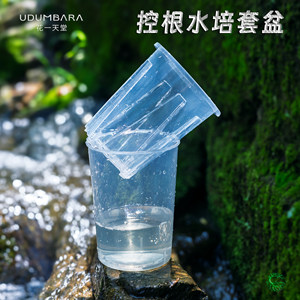 Flowers and Days Hall Phalaenopsis Special Root Control Hydroponic Set Pot Hot Planting Monstera Lazy People's Roots Semi-hydrating Flower Pot