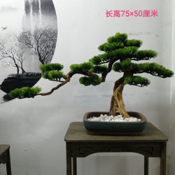 New Chinese-Style Zen-Inspired High-Quality Imitation Bonsai Welcoming Pine Cliff Cypress Wood Indoor Living Room Entryway Table Decoration Garden Landscape Tree
