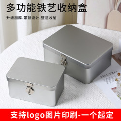 Lockable Box, Small Storage Box, Storage Box for Toys and Cards, Simple Dust-Proof Organizing Iron Box, Solid Color