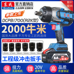 Dongcheng High-Torque Electric Wrench Heavy-Duty Electric Impact Wrench for Auto Repair, Tower Crane, Railway Socket Dcpb1700 Dongcheng Tools