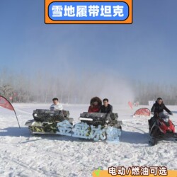 Winter Ice and Snow Equipment All-Terrain Snow Tracked Tanks Single and Double Seat Electric and Fuel-Powered Go-Karts for Snow Rides