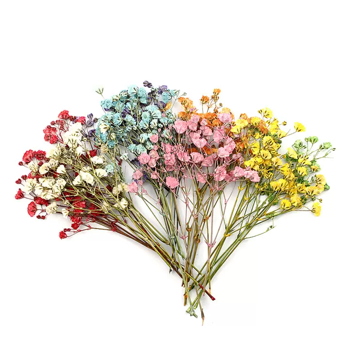 長枝滿天星乾燥花押花壓花滴膠手機保護殼手鐲