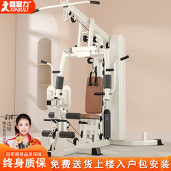 Comprehensive Trainer Single Station Home Fitness Equipment All-In-One Power Station Multi-Functional High Pull-Down Big Flying Bird