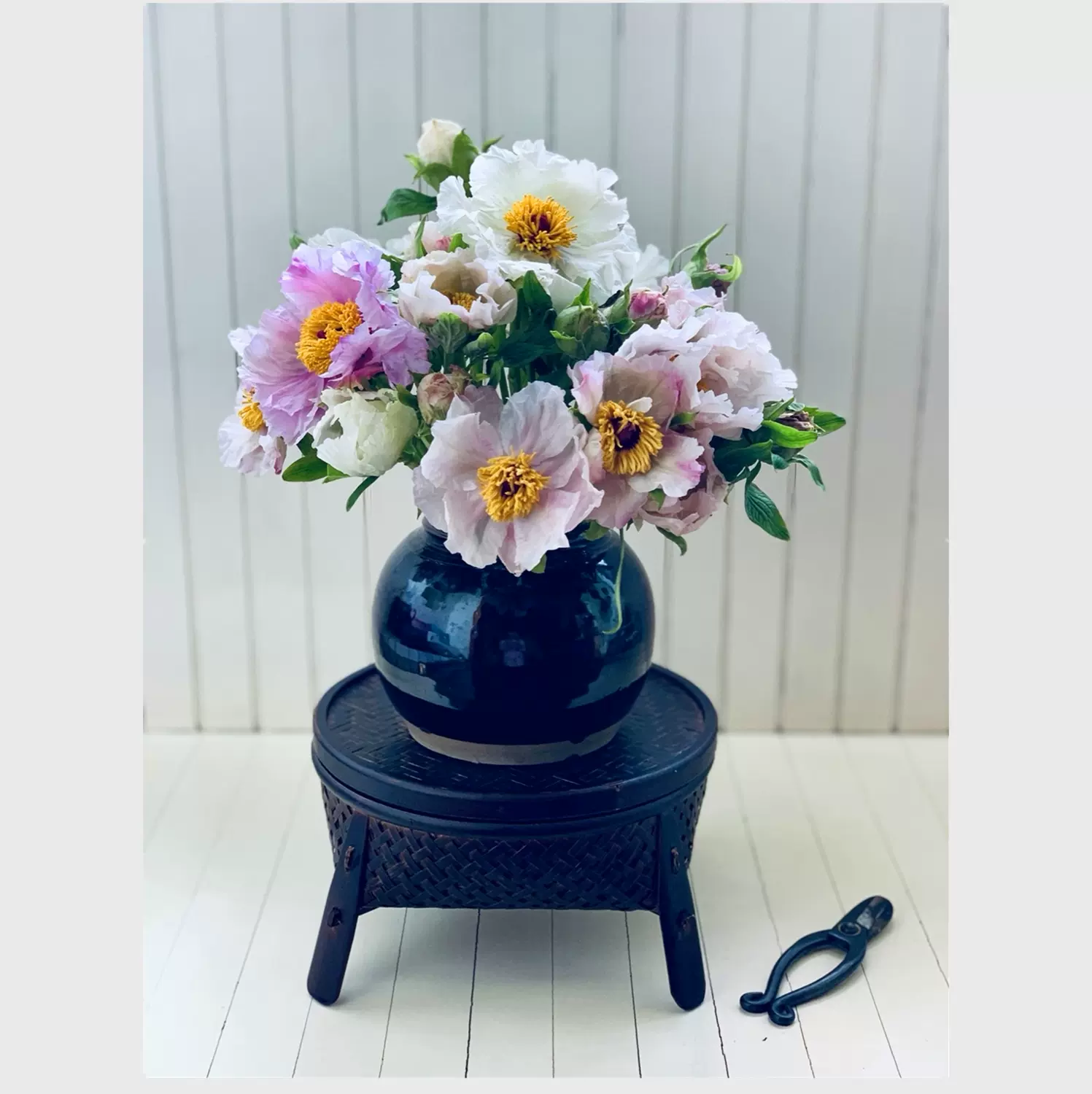 牡丹鲜花油画牡丹牡丹鲜切花牡丹花束支10支包邮芍药鲜花